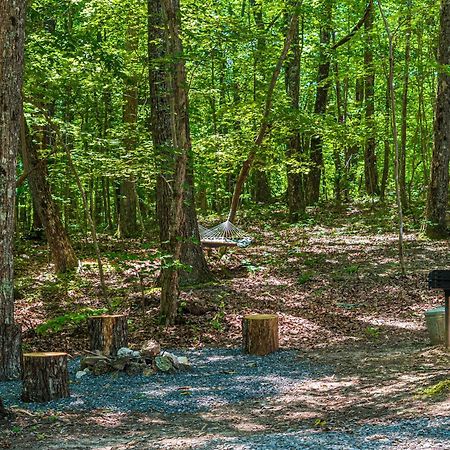 Coyote Cabin At Woodland Retreat At Desoto Beside Desoto State Park Fort Payne Dış mekan fotoğraf