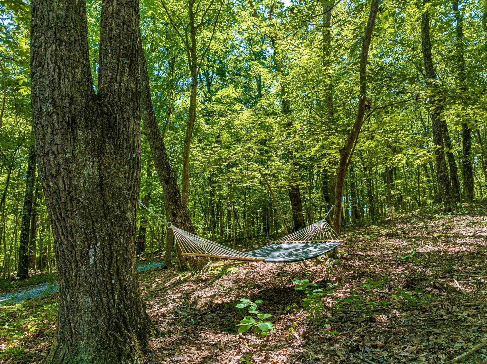 Coyote Cabin At Woodland Retreat At Desoto Beside Desoto State Park Fort Payne Dış mekan fotoğraf